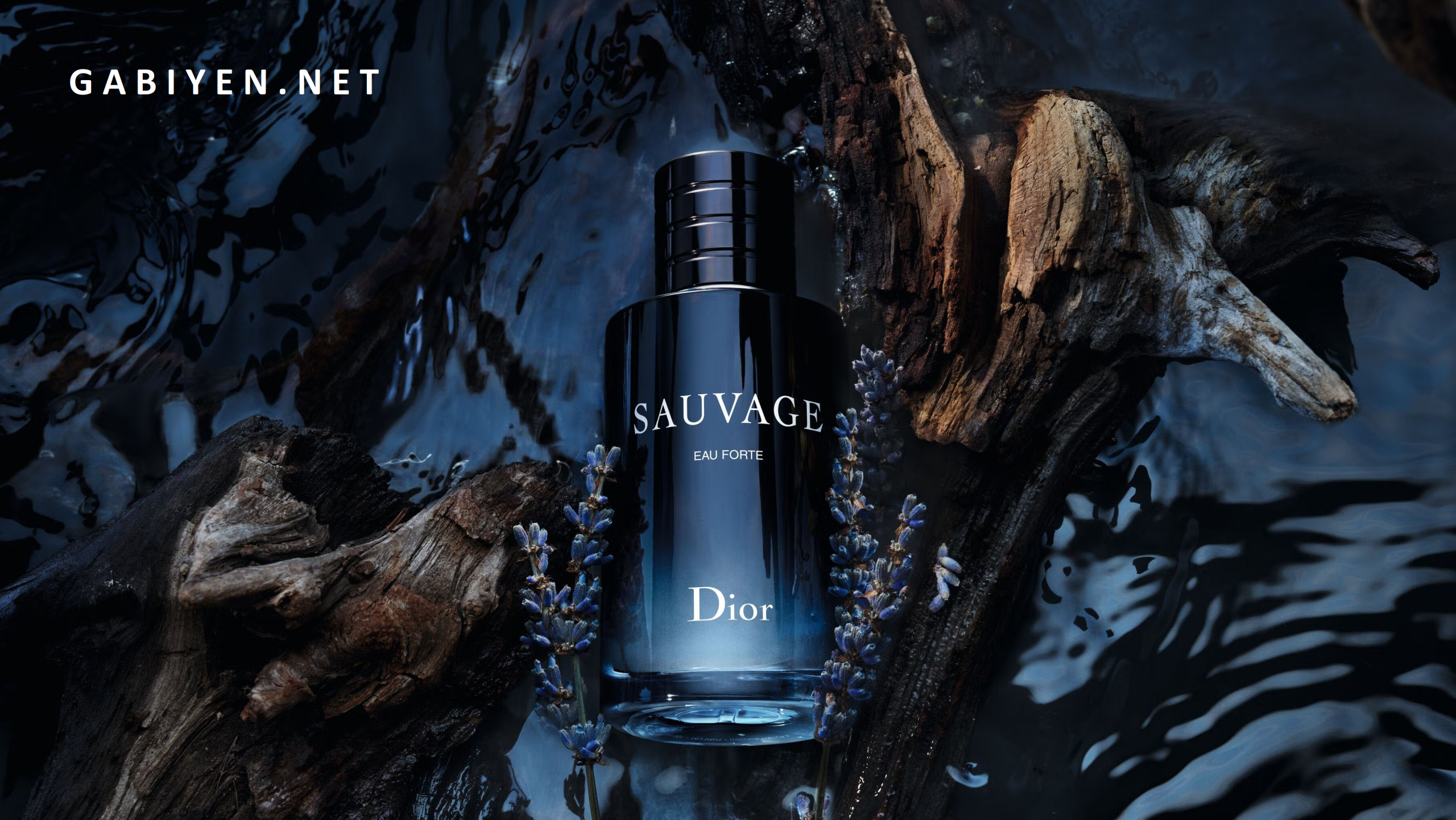 ادکلن دیور ساواج و جایگزین اقتصادی بلئو از Gabiyen